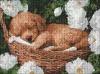 Diamond Painting - Ein schlafender Pudel ©art_selena_ua