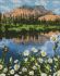 Diamond Mosaic - The mountain landscape 
