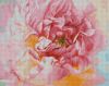 Diamond Painting - Zarte Pfingstrose